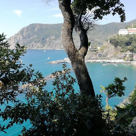 La Terrazza Sul Mare ☆☆☆☆☆ Monterosso Apartment Monterosso al Mare Luaran gambar